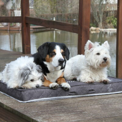 Outdoor-Hundekissen